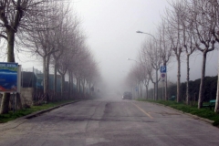 nebbia (10)
