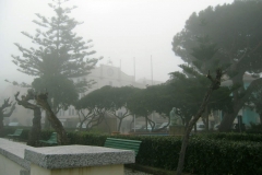 nebbia (2)